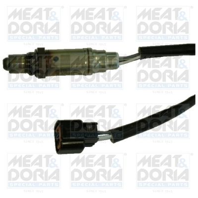 Oxygen Sensor